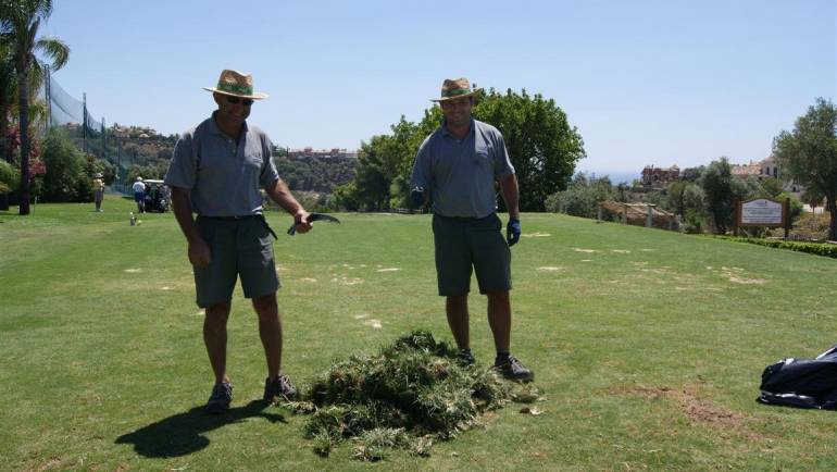 Eleusina indica at Los Arqueros Golf