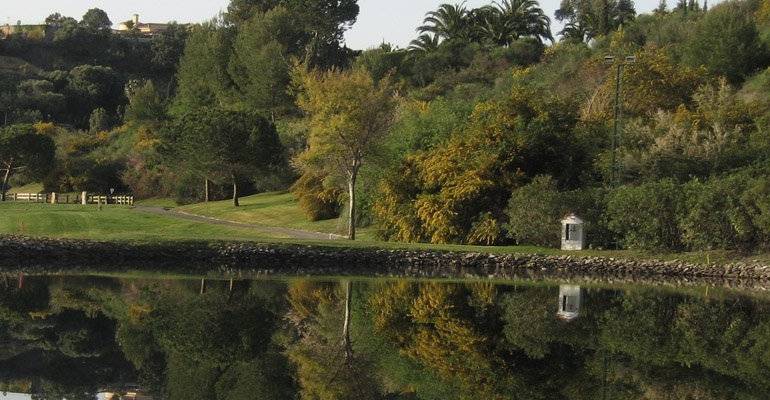 Medio Ambiente