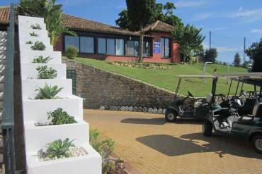 New plants decorate our planters