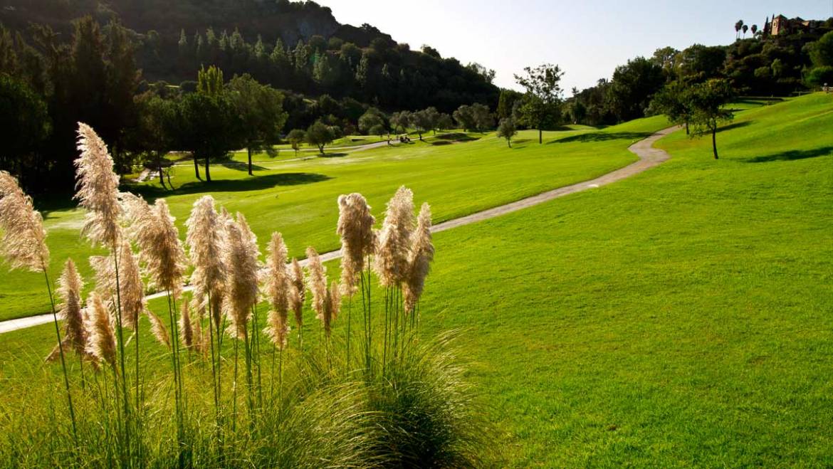 Los Arqueros Golf Flora