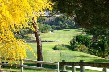 Golf  y mucho más en Los Arqueros Golf