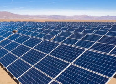 Our Commitment to the Environment